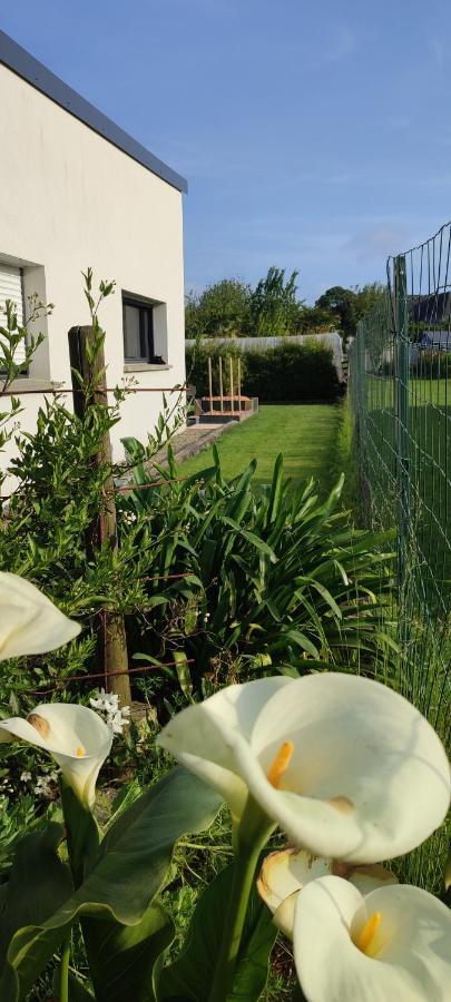 Maison Recente Avec Jardin. Plourhan Extérieur photo